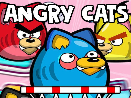 angry-cats