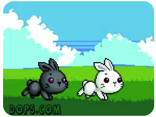 bu-bunny-two-rabbit