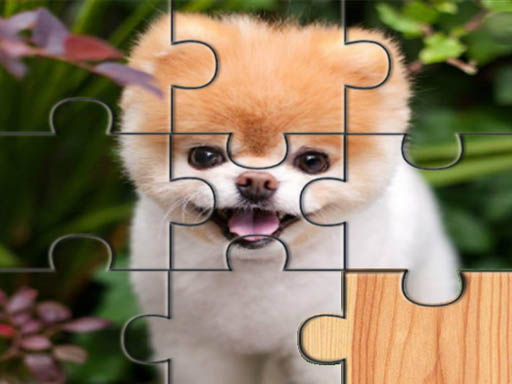 cute-dogs-jigsaw-puzlle