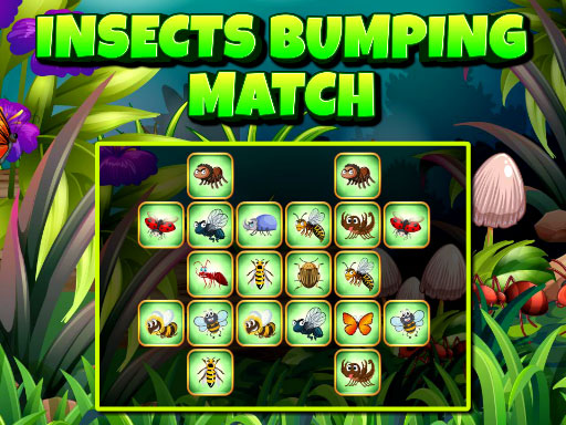 insects-bumping-match
