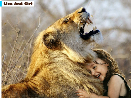 lion-and-girl-jigsaw