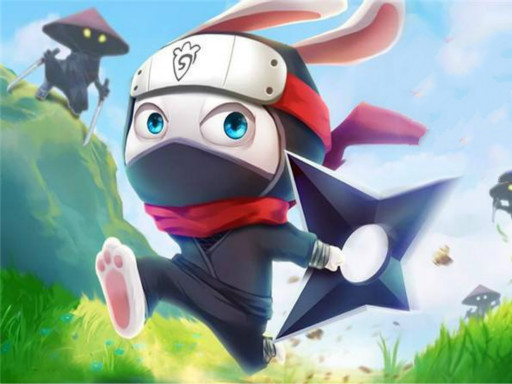 ninja-rabbit
