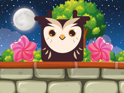 owl-block