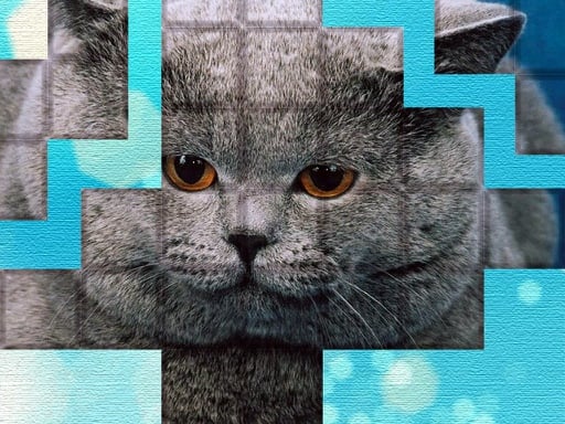 picpu-cat-puzzle