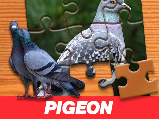 pigeon-jigsaw-puzzle