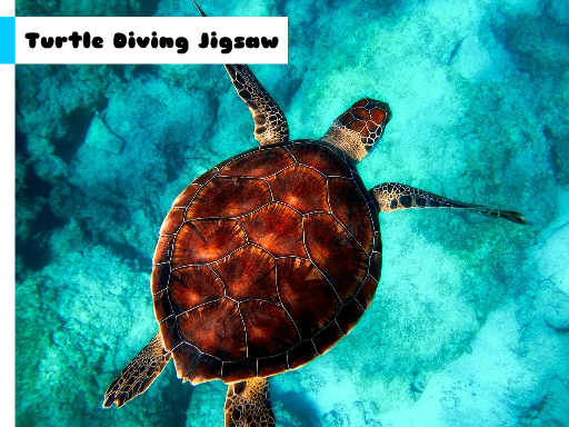 turtle-diving-jigsaw